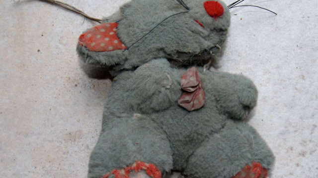 I jeszcze jeden Miś.